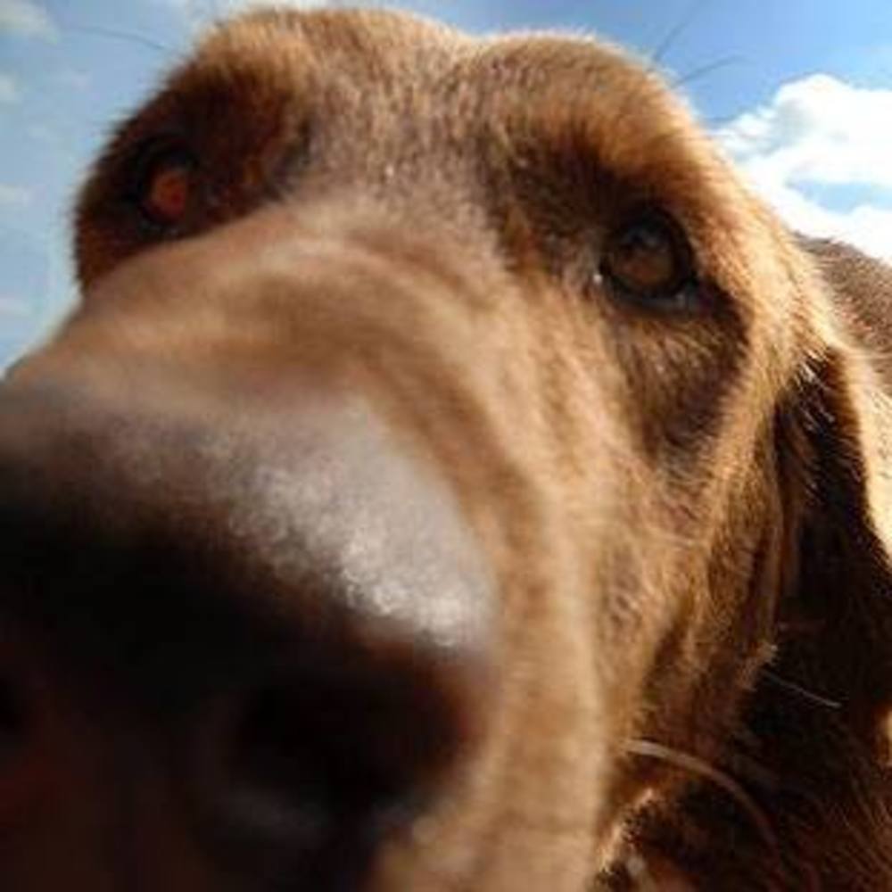 Meet your Posher, Mandy